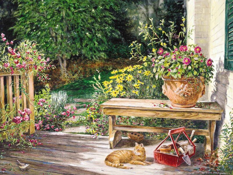 Orange Tabby Cat on Porch
