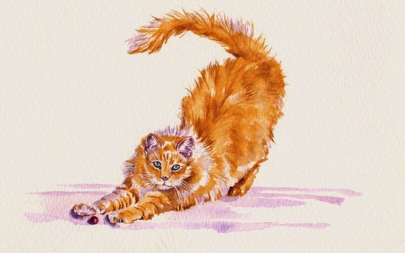 Orange Tabby Cat — Playful, Illustration, Tail