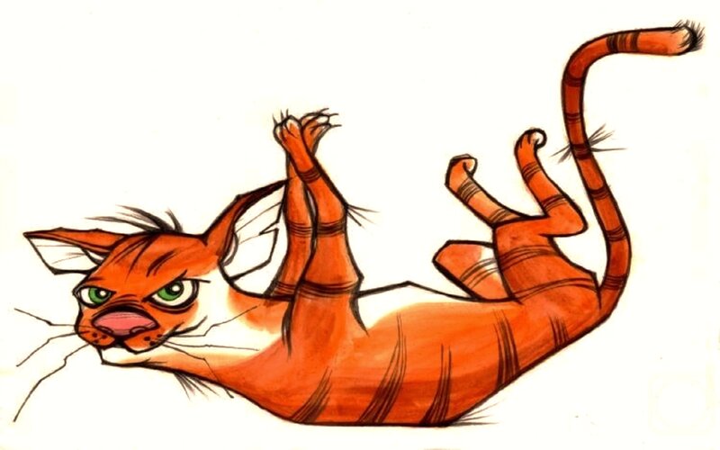 Orange Tabby Cat — Playful, Illustration