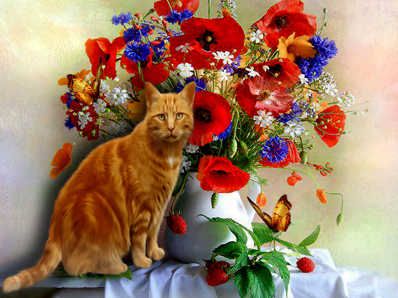 Orange Tabby Cat — Serene, Spring