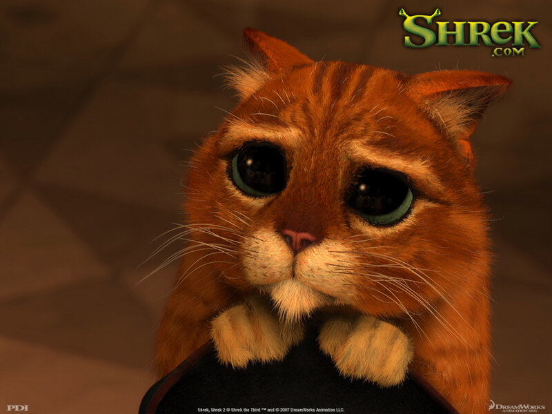 Orange Tabby Cat — Serious, 3d Render