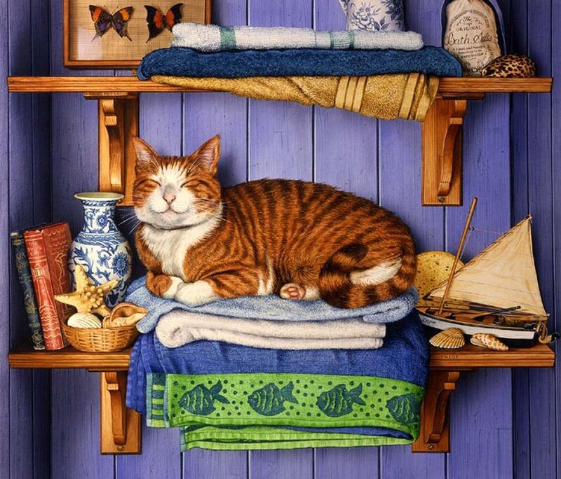 Orange Tabby Cat Sleeping — Blue, Serene