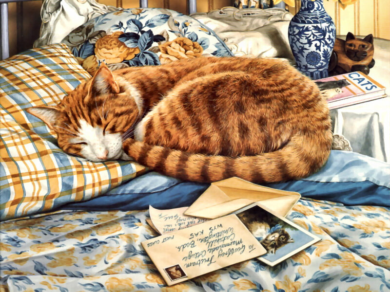 Orange Tabby Cat Sleeping — Brown, Serene