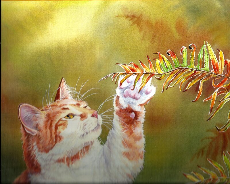 Orange Tabby Cat — Yellow, Calm, Afternoon