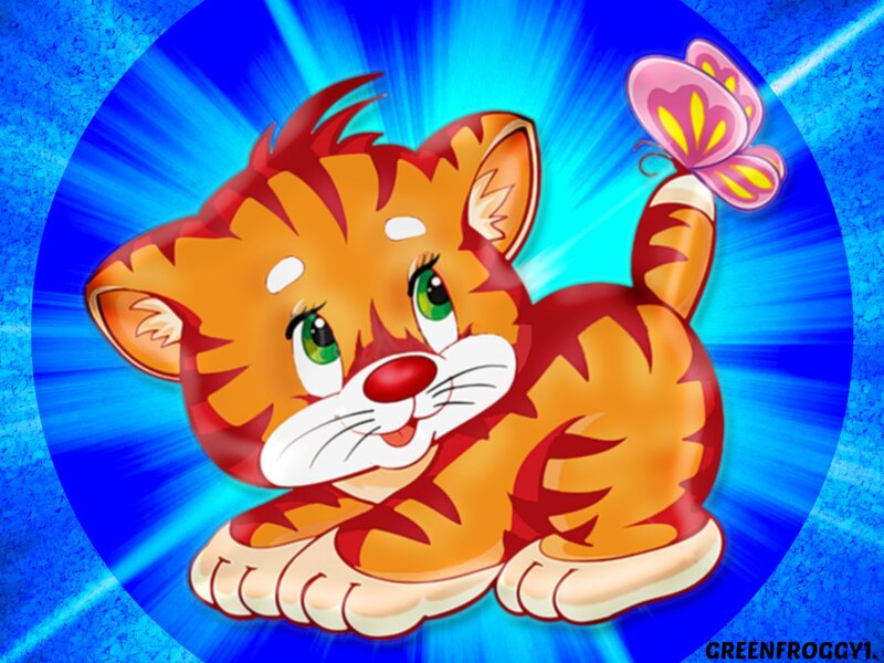 Orange Tabby Kitten — Blue, Playful