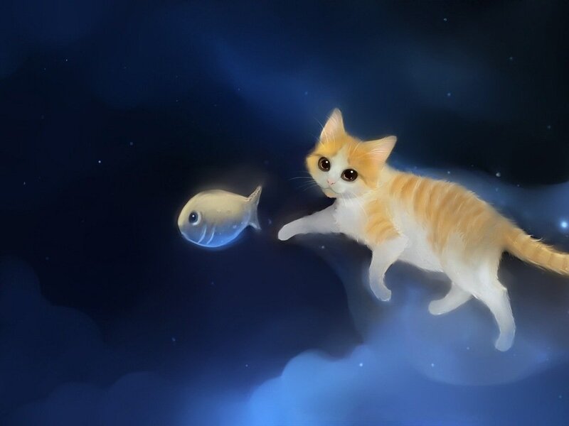 Orange Tabby Kitten — Blue