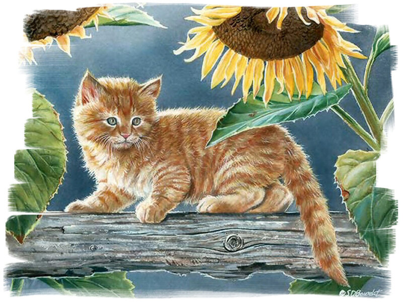 Orange Tabby Kitten — Calm, Afternoon, Illustration