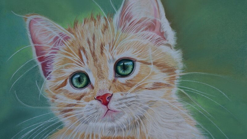 Orange Tabby Kitten — Calm, Illustration