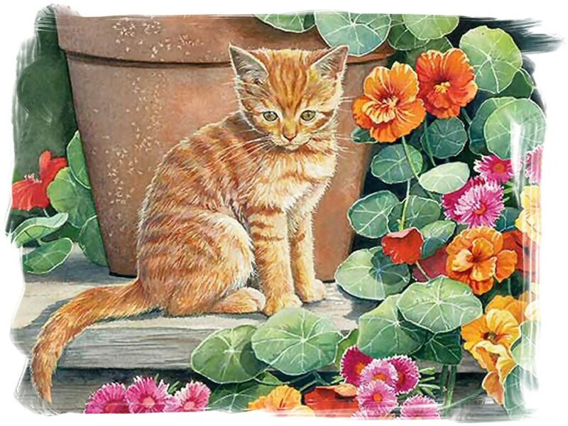 Orange Tabby Kitten — Calm, Spring, Illustration