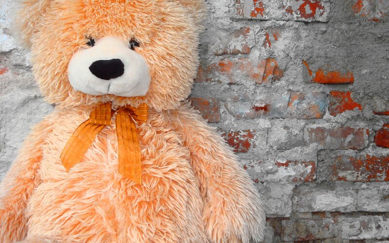 Orange Teddy Bear — Calm, Photograph, Brick Wall, Bow