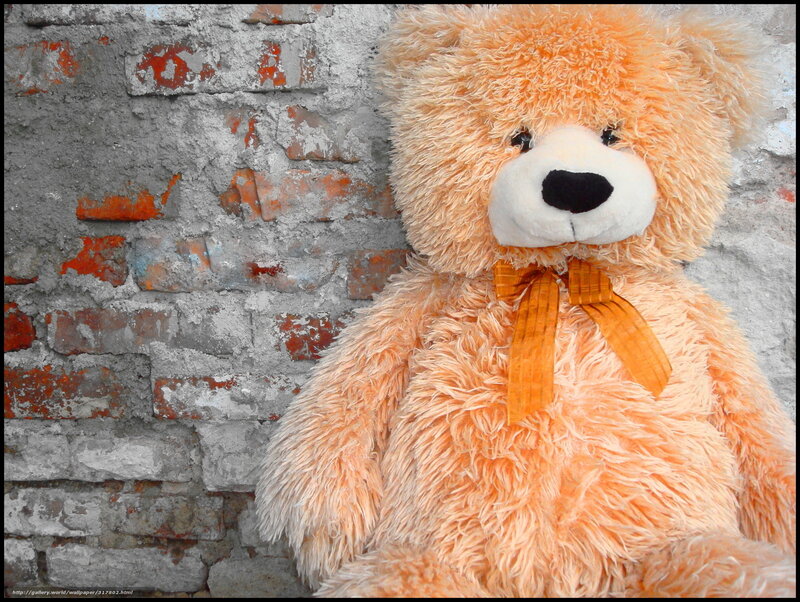 Orange Teddy Bear — Calm