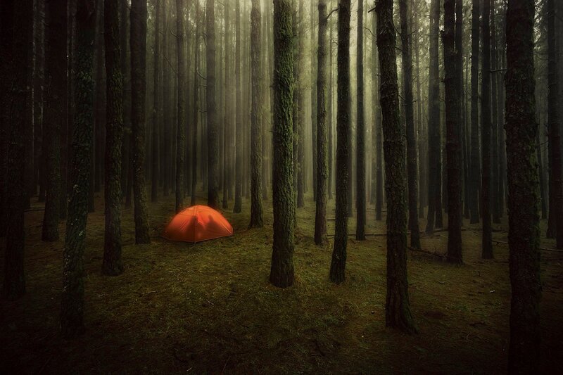 Orange Tent in Forest — Green