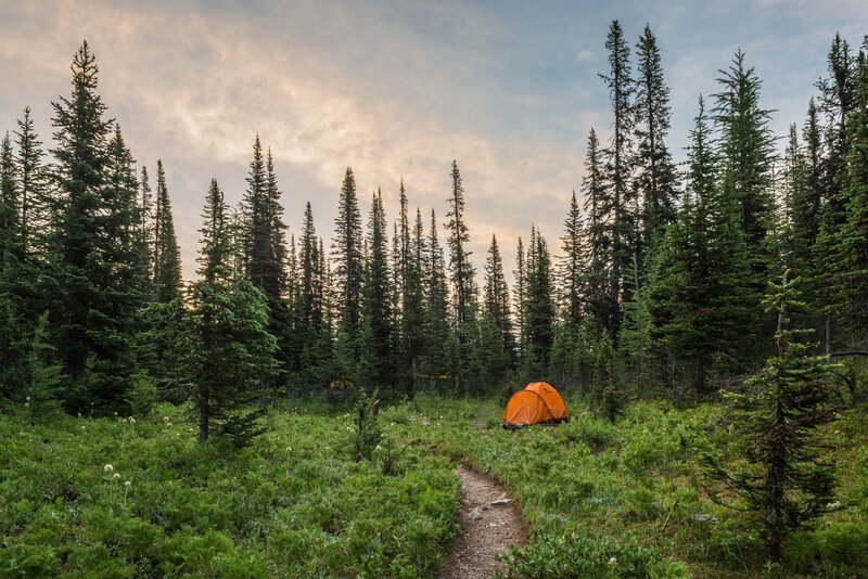 Orange Tent in Forest
