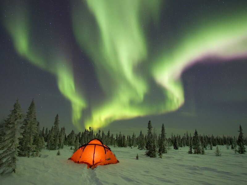 Orange Tent in Snow — Green, Serene