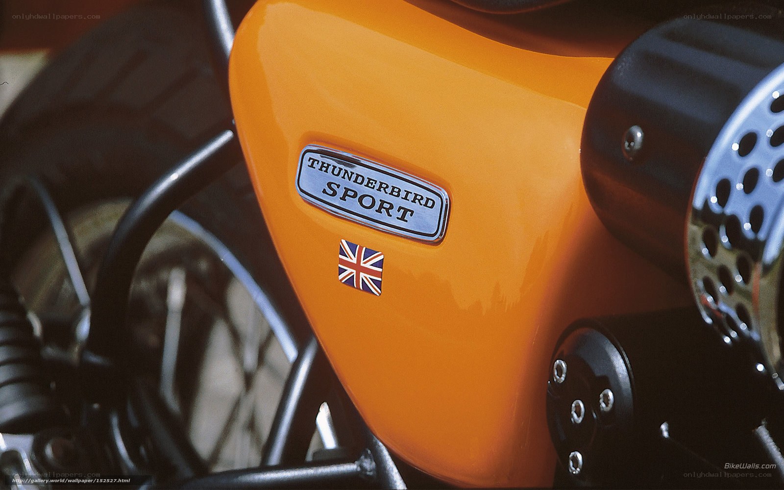 Orange Thunderbird Sport motorcycle