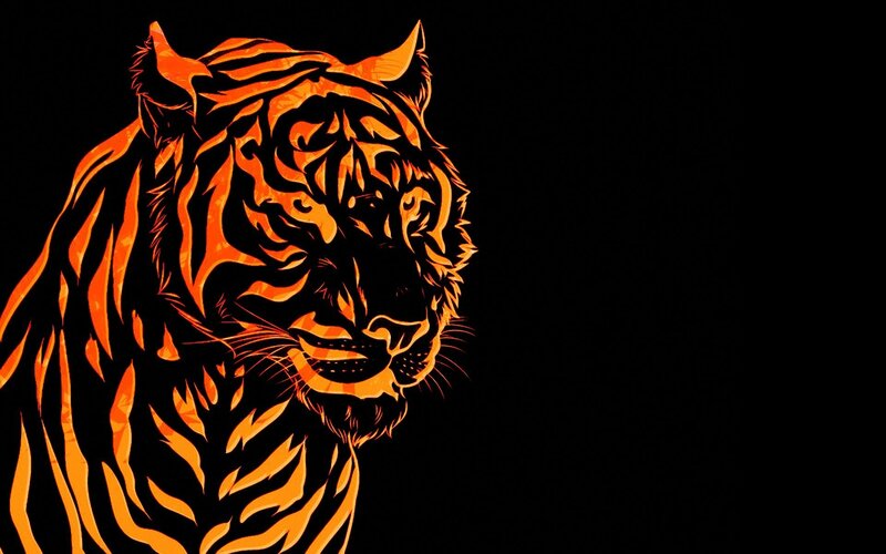 orange tiger silhouette