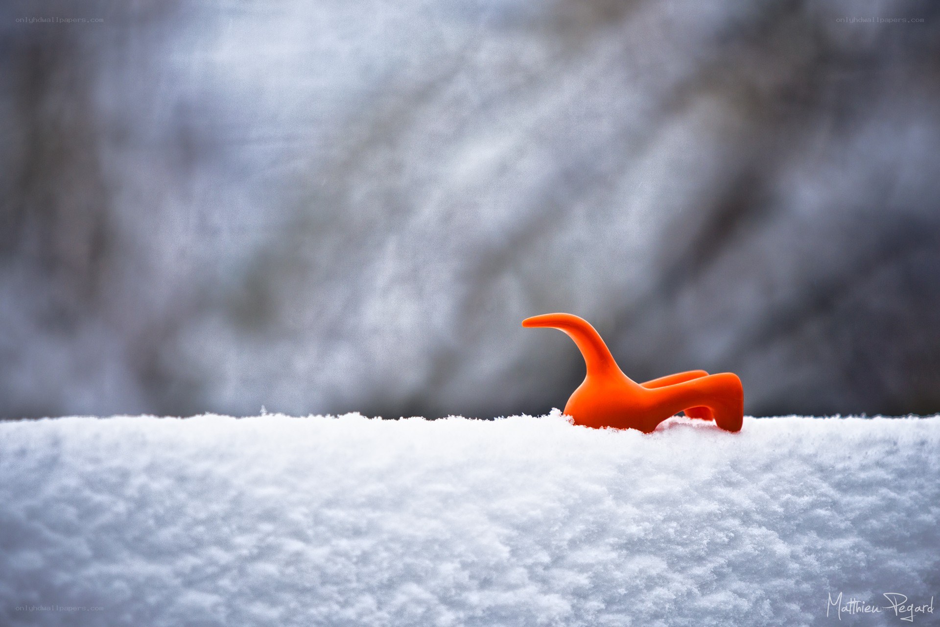 Orange toy in the snow