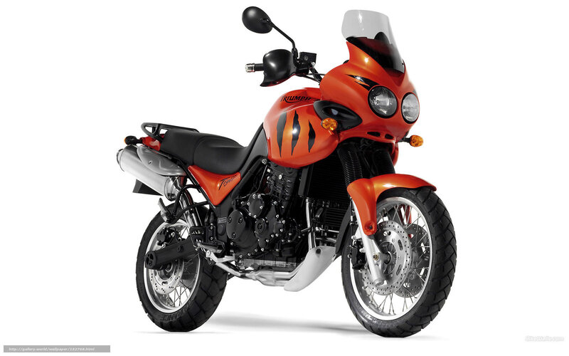 Orange Triumph Tiger Motorcycle — Neutral, Photograph