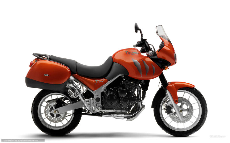 Orange Triumph Tiger Motorcycle — Neutral