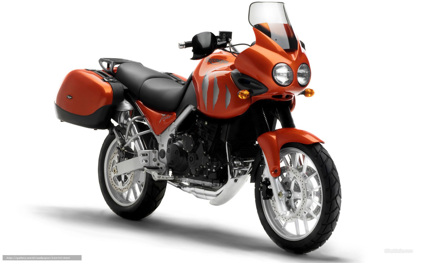 orange triumph tiger motorcycle
