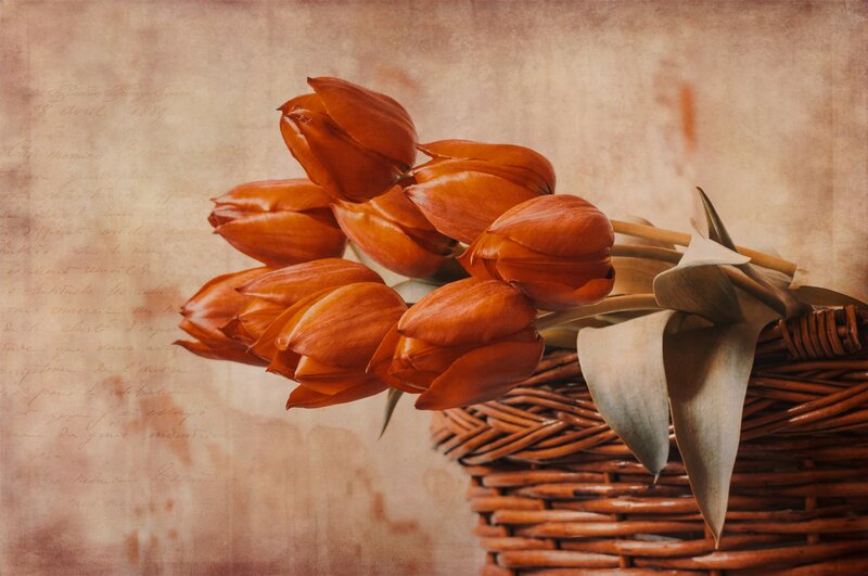 Orange Tulips in Basket — Brown