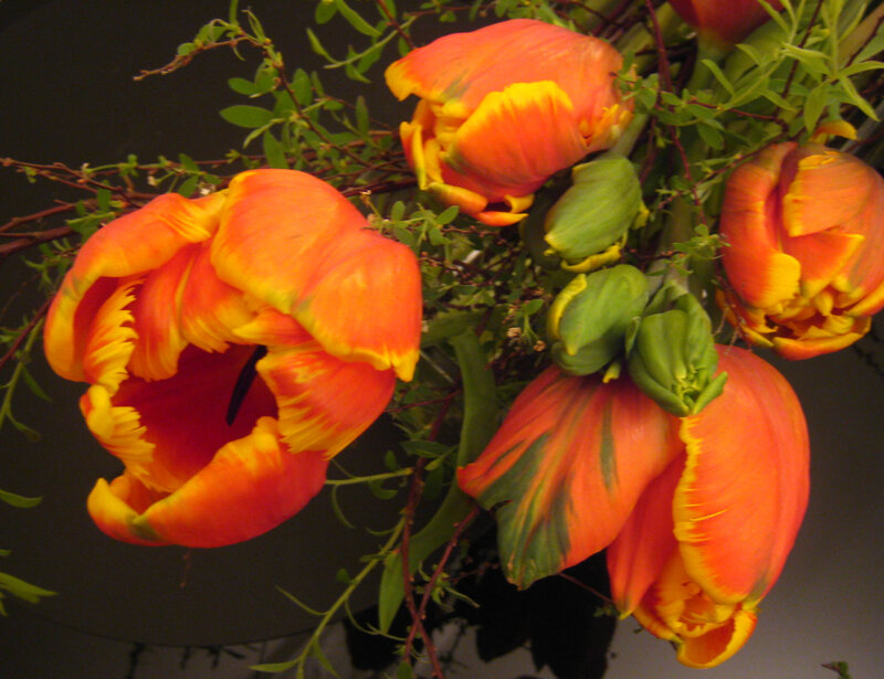 Orange Tulips in Bouquet