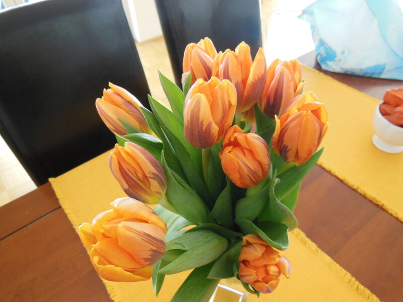 Orange Tulips in Vase — Calm, Afternoon
