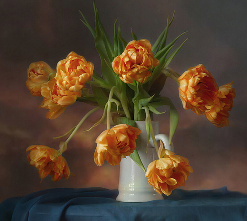 Orange Tulips in Vase — Calm, Photograph, Tablecloth