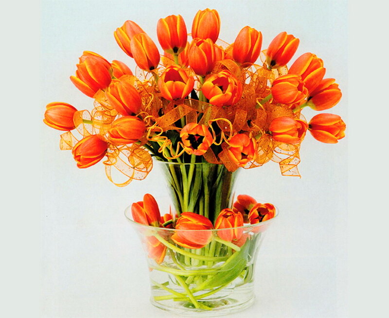 Orange Tulips in Vase — Calm, Photograph