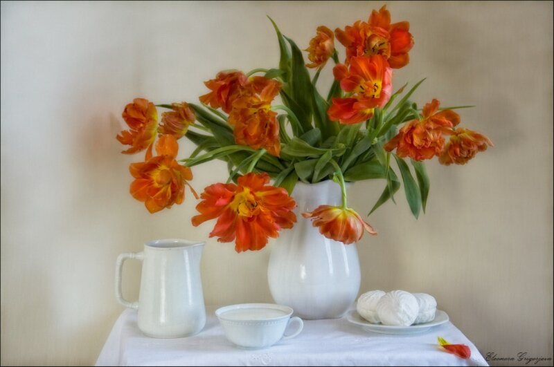 Orange Tulips in Vase — White