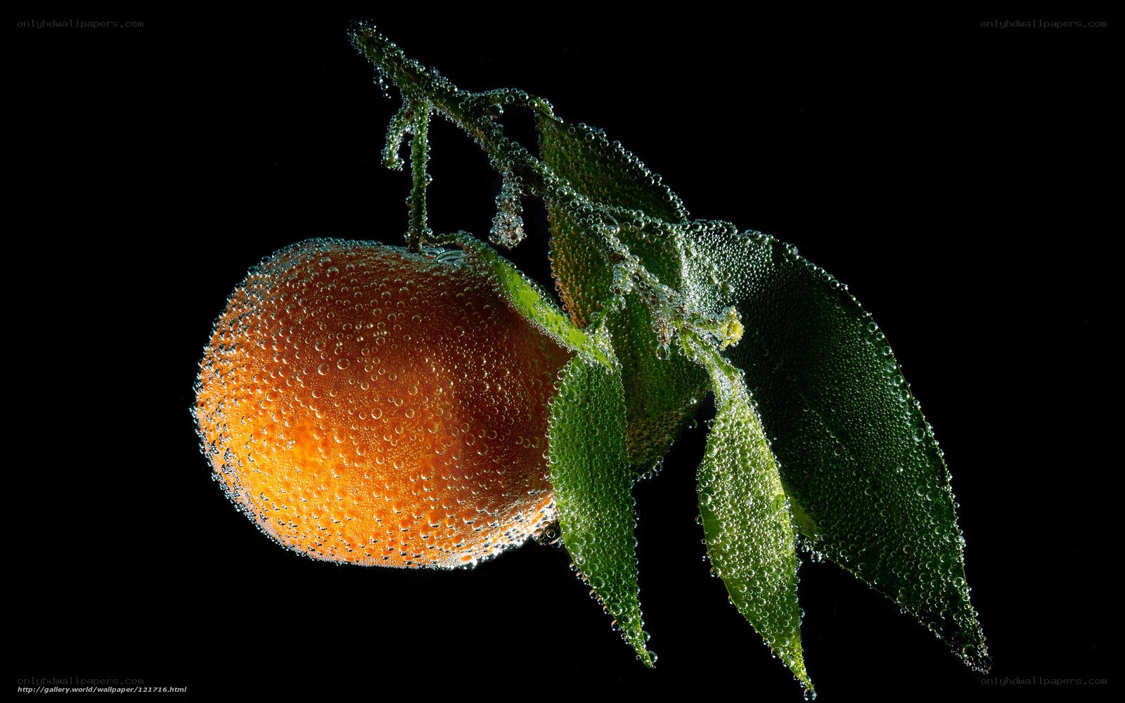 Orange with dew drops