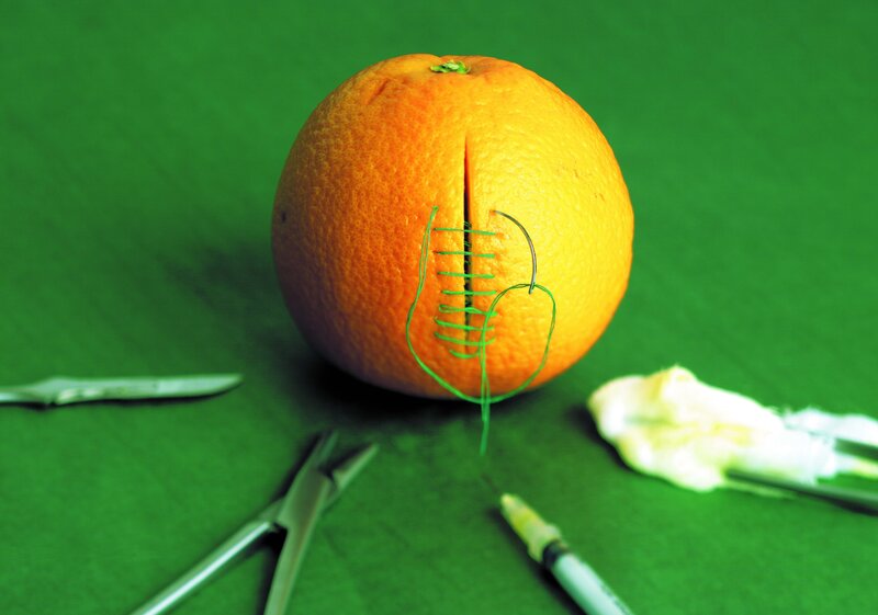 orange with surgical stitches