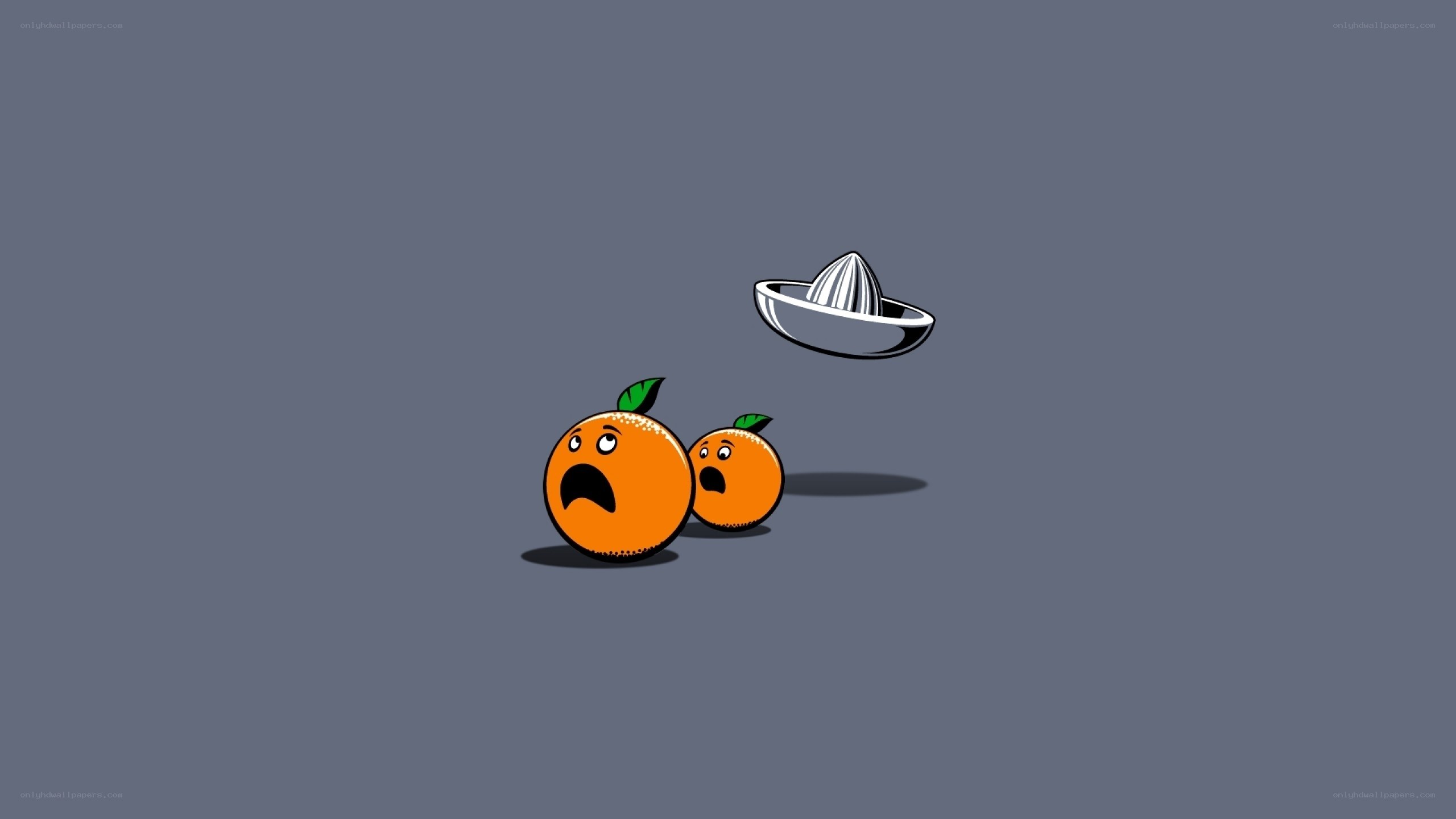 Oranges and a juicer