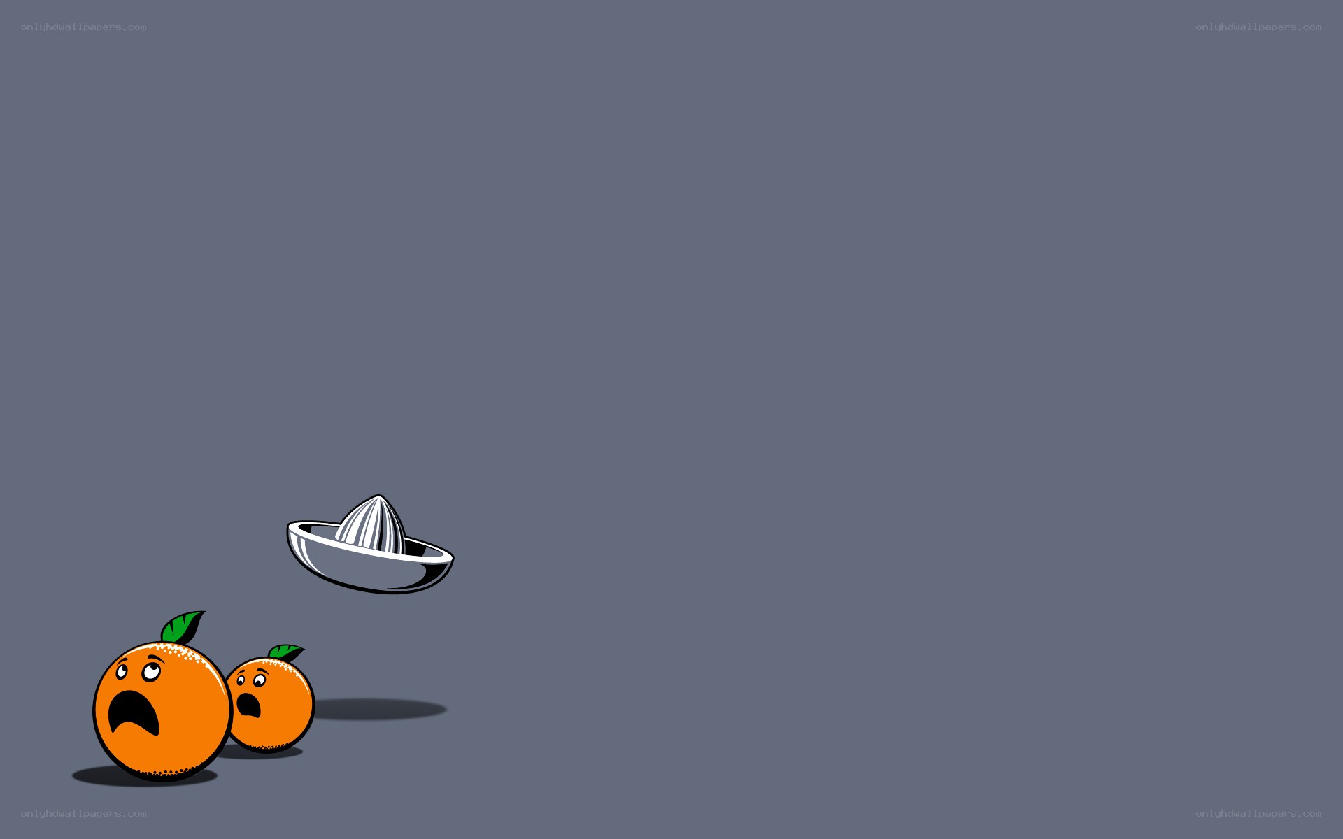 Oranges and juicer