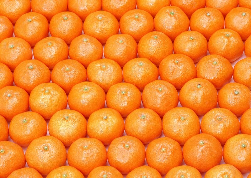 Oranges arranged in rows