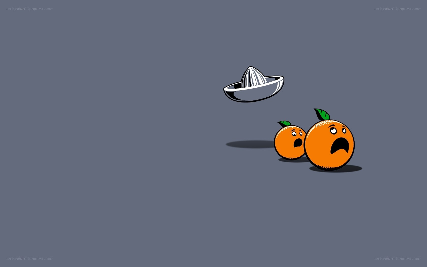 Oranges fear juicer