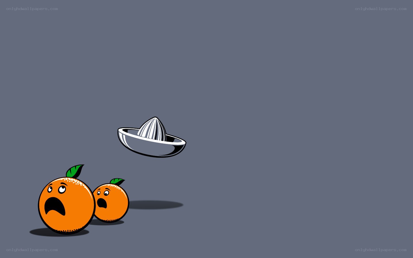 Oranges fear juicer