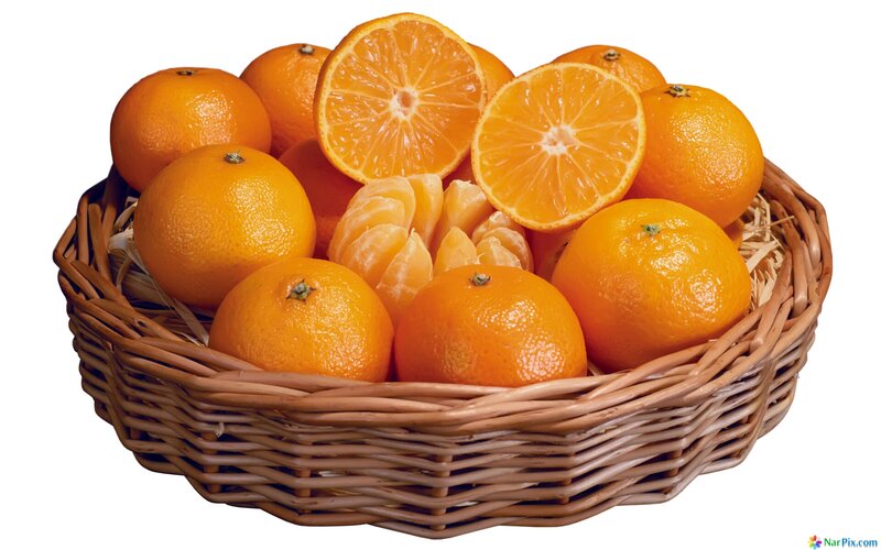 Oranges in a Basket — Orange