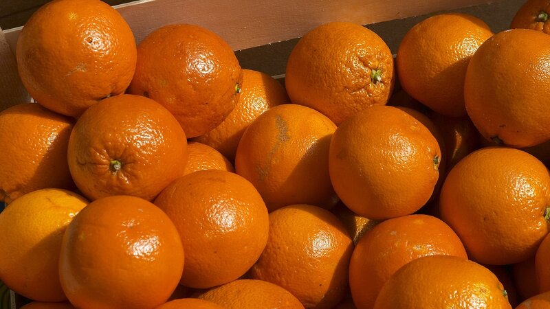 Oranges in a Box — Orange, Bright