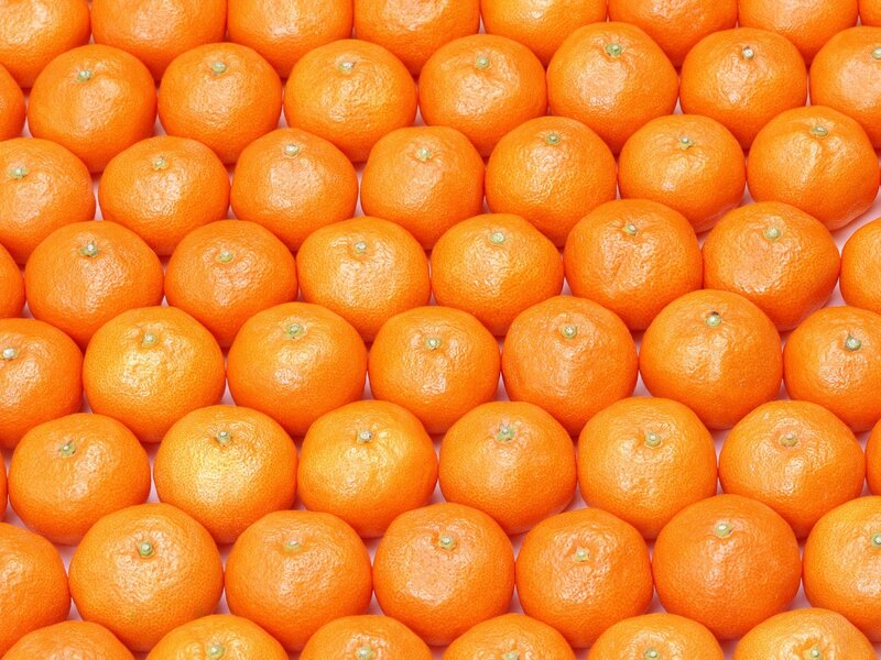 Oranges in a grid pattern