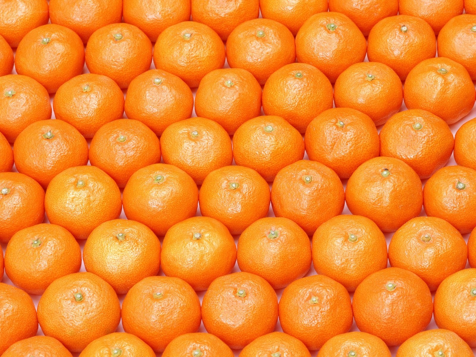 Oranges in a grid pattern