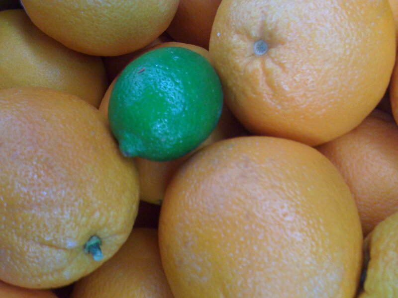 Oranges with a lime