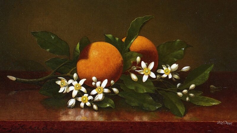 Oranges with Blossoms — Orange, Calm