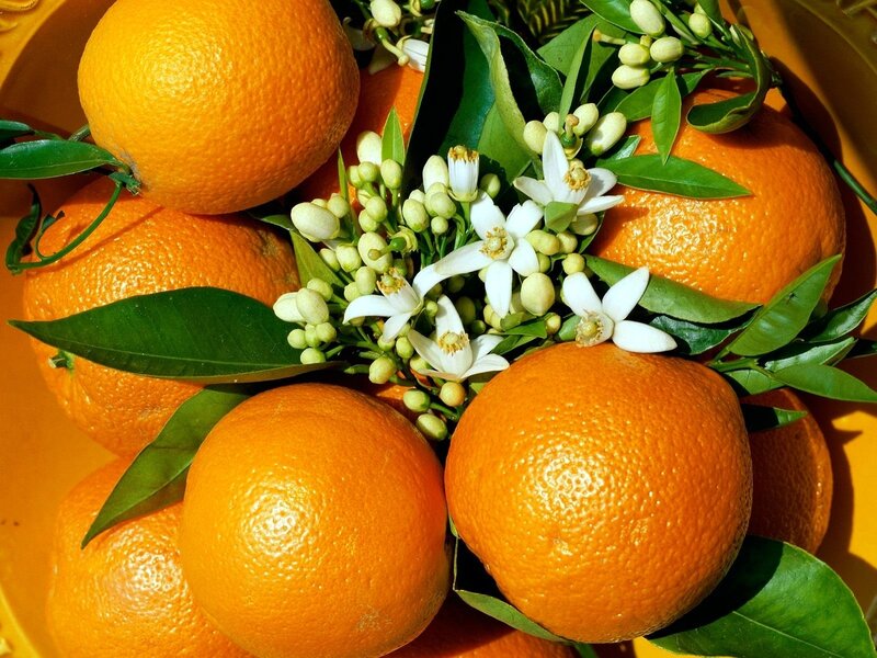 Oranges with Blossoms — Orange, Fresh