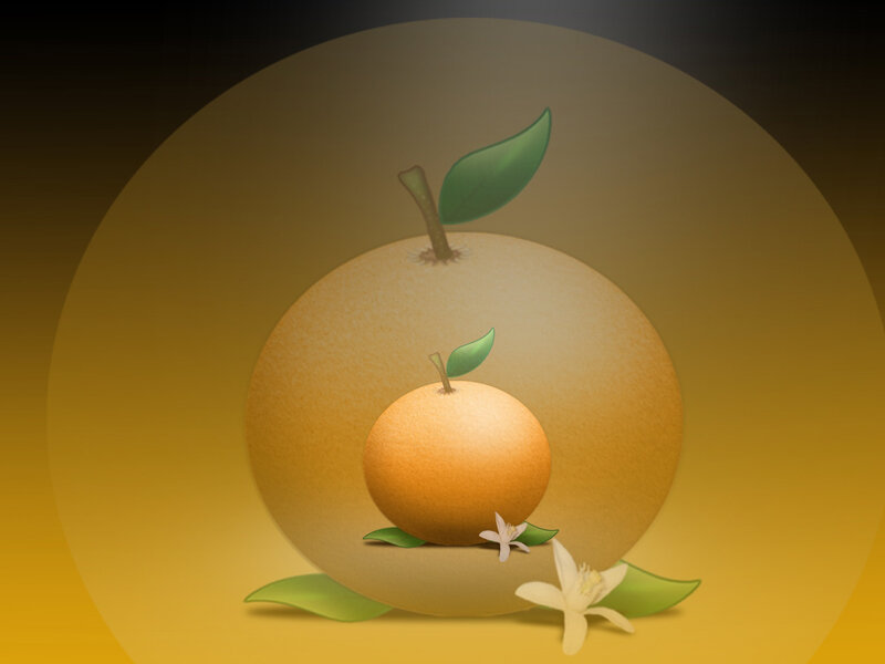 Oranges with flowers and leaves