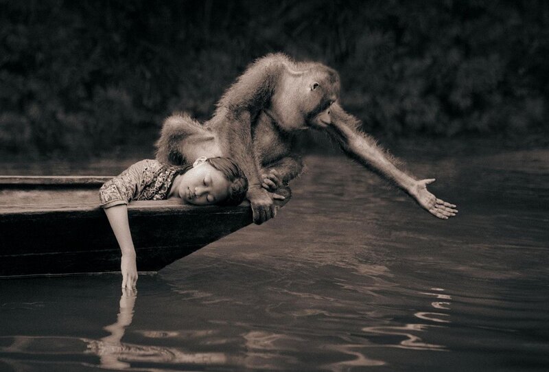 Orangutan and child on a boat