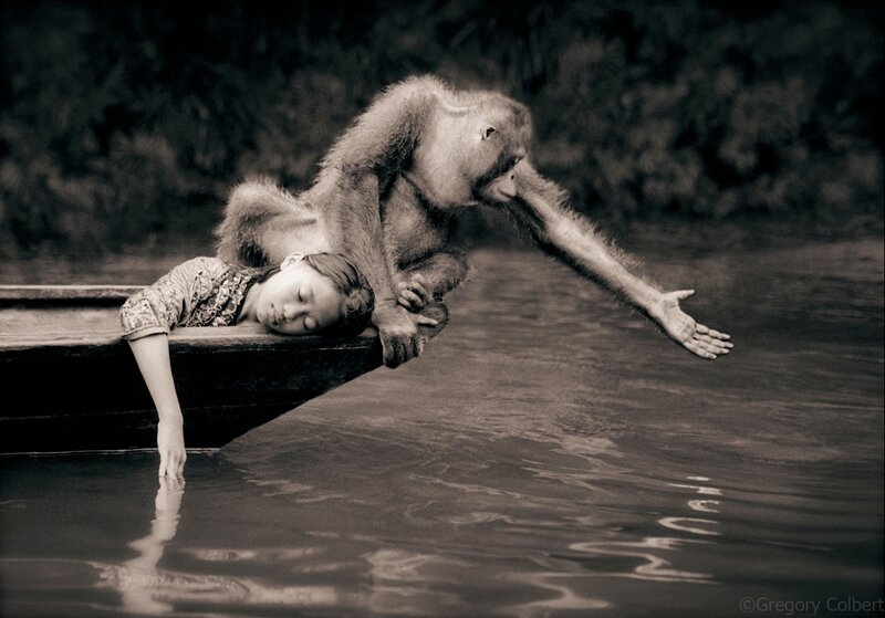 Orangutan and Girl on Boat