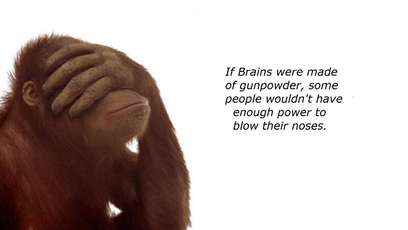 Orangutan Covering Face — Brown, Humorous