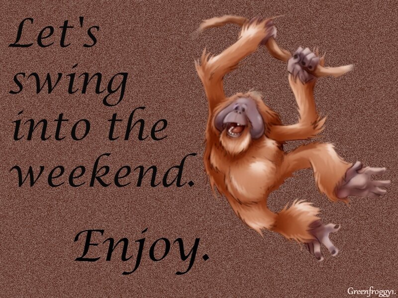 Orangutan Swinging