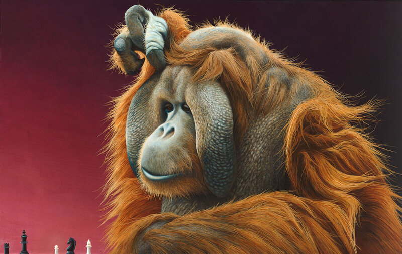 Orangutan with Chess Pieces